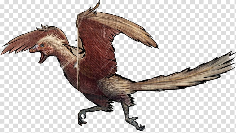 Archaeopteryx ARK: Survival Evolved Bird Xiaotingia Tapejara, Bird transparent background PNG clipart