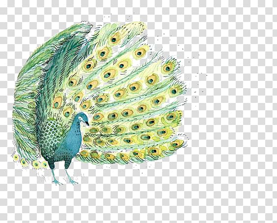 Bird Watercolor painting Illustration, Watercolor Peacock transparent background PNG clipart
