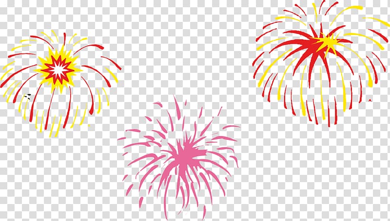 Sumidagawa Fireworks Festival Firecracker, fireworks festival transparent background PNG clipart