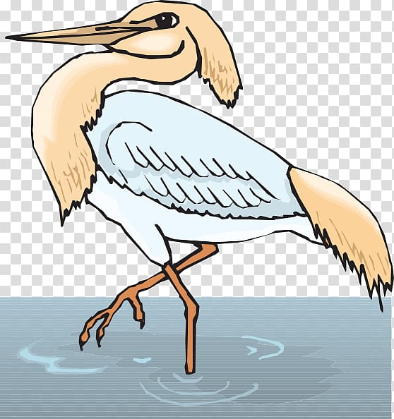 Crane Bird Great blue heron Coloring book Grey heron, crane transparent background PNG clipart