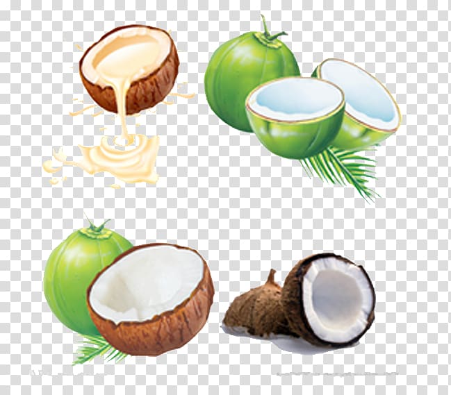 Juice Coconut water Coconut milk, Coconut hand painted transparent background PNG clipart