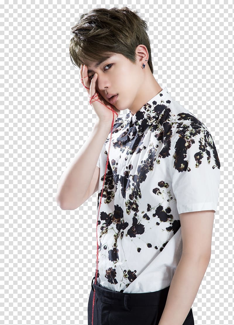 Jin BTS Best Of Me The Most Beautiful Moment in Life, Part 1 Korean idol, butterfly transparent background PNG clipart