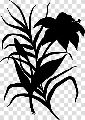 Flower Floral design Petal , flower transparent background PNG clipart thumbnail