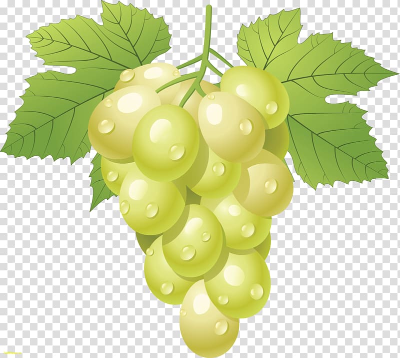 Kyoho Wine Grape , Grapes transparent background PNG clipart