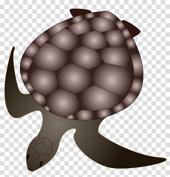 Tortoise Green sea turtle Reptile, turtle transparent background PNG clipart