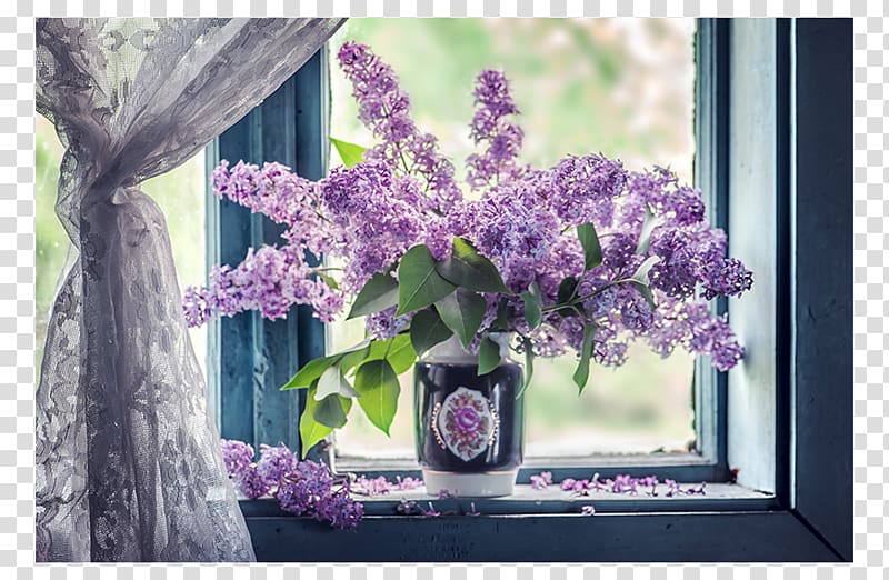 Window sill Curtain Flower Lilac, window transparent background PNG clipart