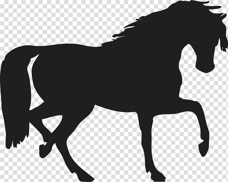 Horse Pony Silhouette Shadow, Black Horse Siluete transparent background PNG clipart