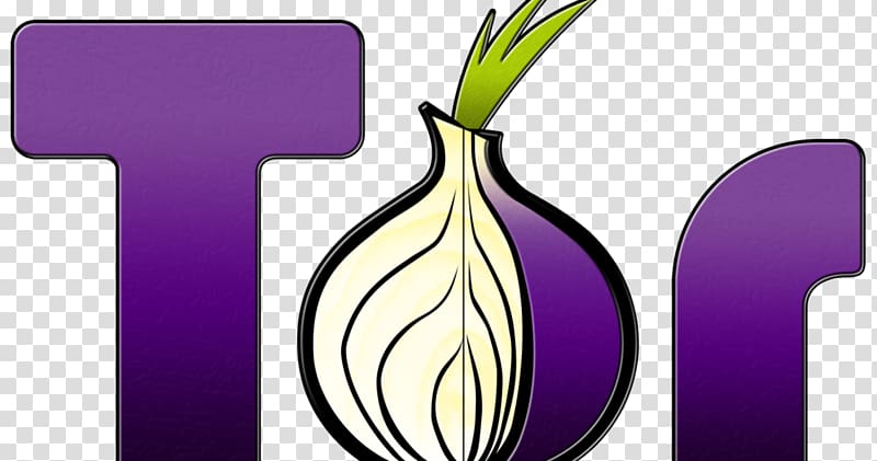 Tor Browser Web browser Anonymity Computer Software, onion transparent background PNG clipart