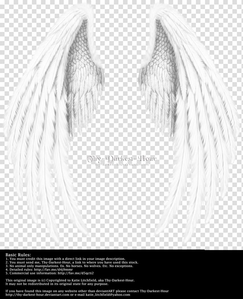 Thy Darkest Hour wings art, Angel wing Angel wing, wing,Angel wings,Real transparent background PNG clipart