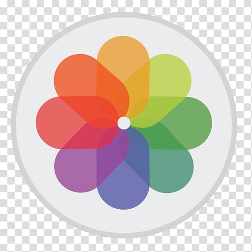 multicolored flower icon, petal circle flower, Preview transparent background PNG clipart