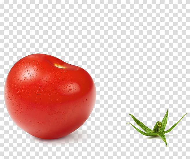 Plum tomato Bush tomato Cherry tomato Hamburger Food, cherry transparent background PNG clipart