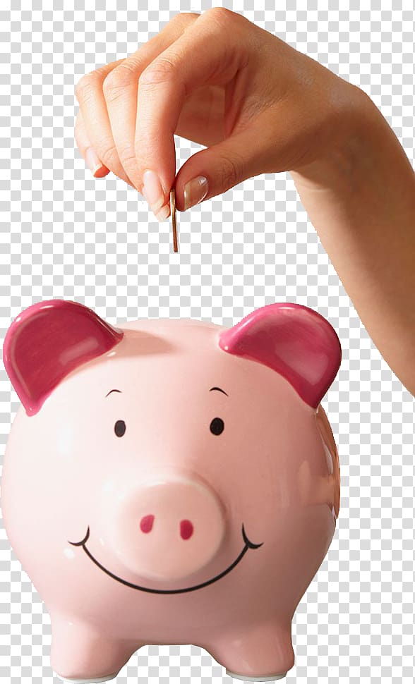 person about to drop coin on pig coin bank, Piggy bank Saving Money Coin Pension, Piggy bank transparent background PNG clipart