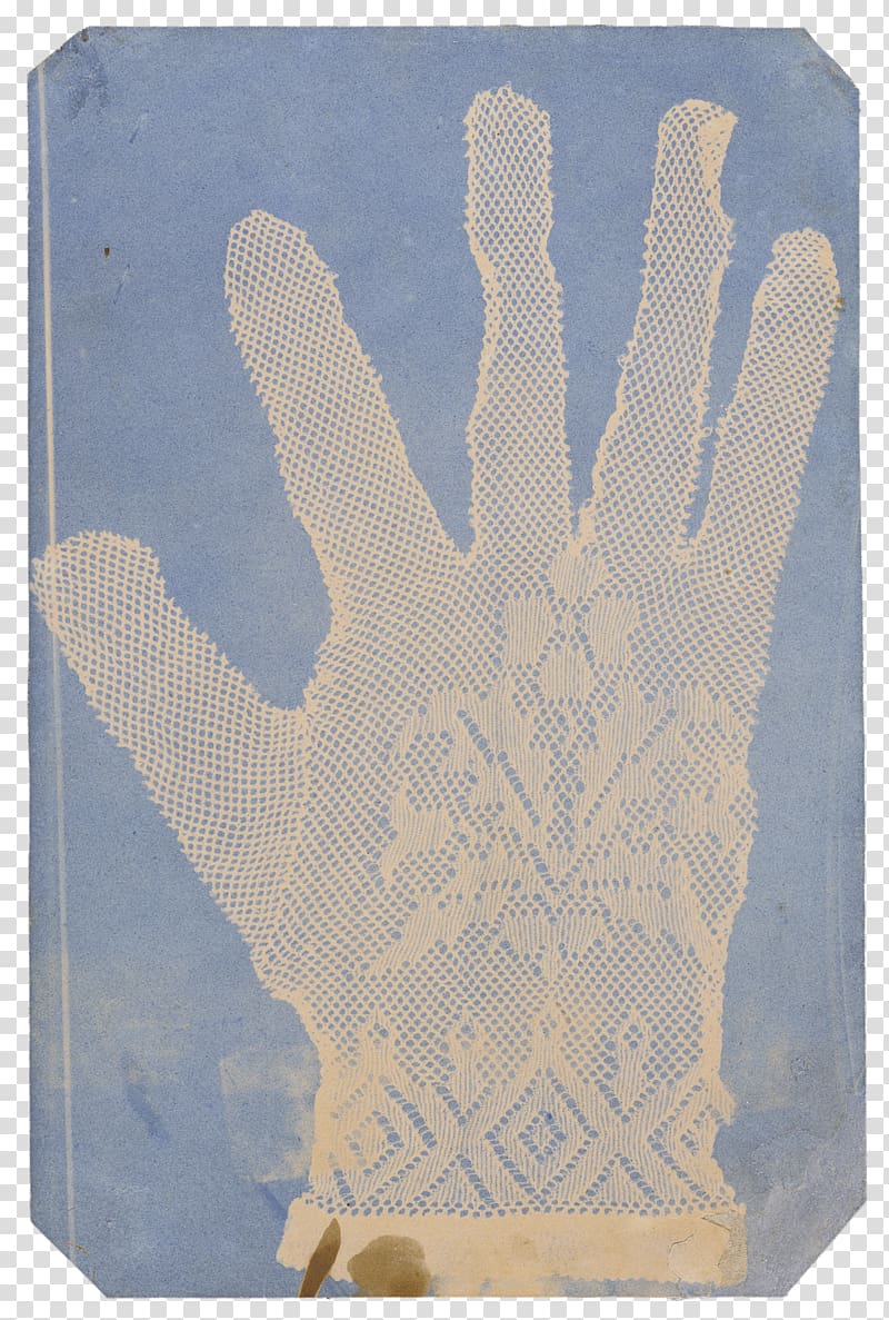 [Lace Glove] [Arrangement of Specimens] J. Paul Getty Museum Cyanotype, windmills transparent background PNG clipart