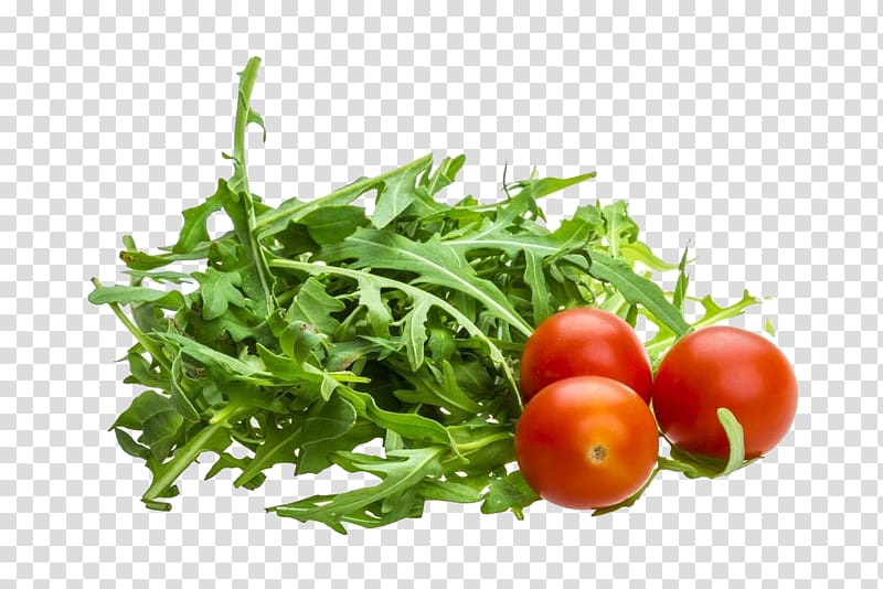 Arugula Rucola, Sesame and tomato transparent background PNG clipart