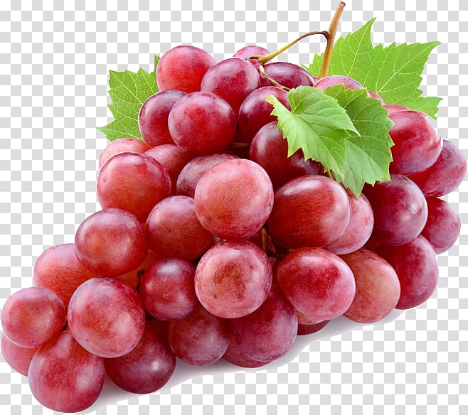 Common Grape Vine Red Wine Red Globe, wine transparent background PNG clipart