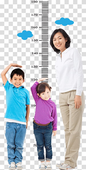 Free Human Height Chart - Download in PDF