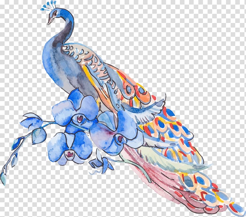 Peafowl Feather Illustration, flowers and peacock transparent background PNG clipart
