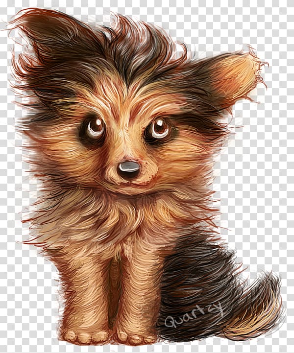 Yorkshire Terrier Russkiy Toy Puppy Companion dog Dog breed, puppy transparent background PNG clipart