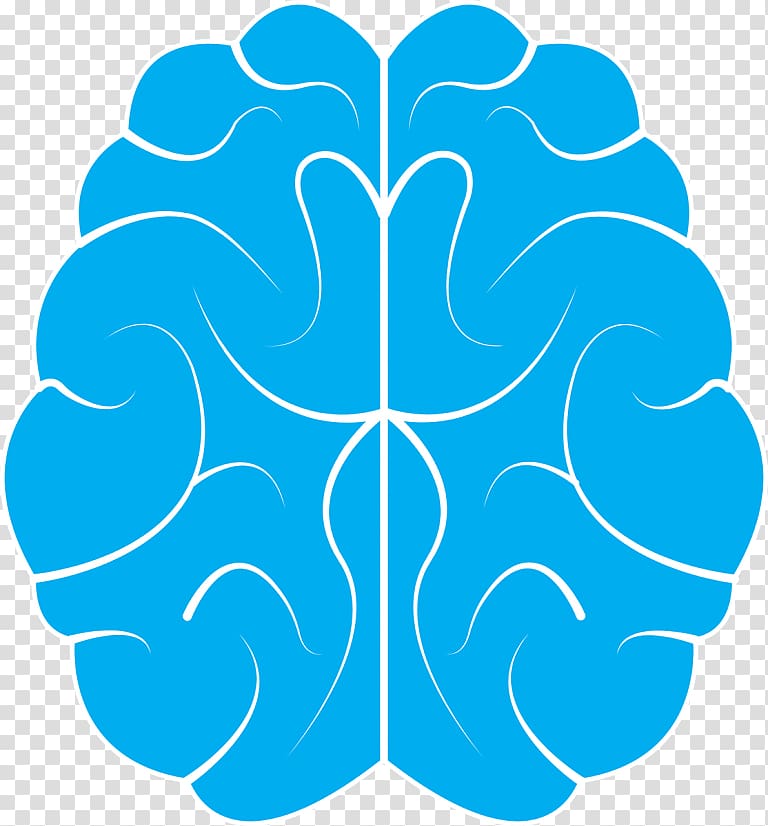 Neuroscience Practice Institute, PLLC: Geoffrey W. Colino, MD Human brain, Brain transparent background PNG clipart