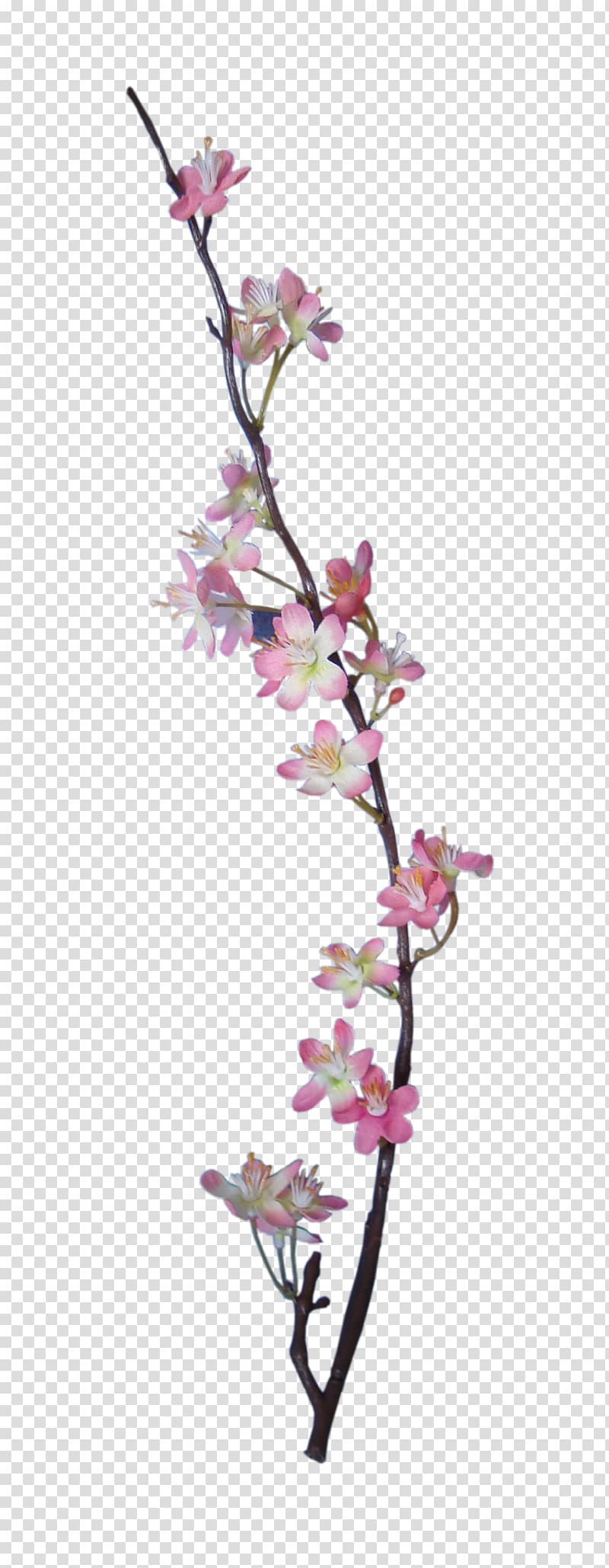 Embellishment Flower Digital scrapbooking Apple, BLOSSOM transparent background PNG clipart