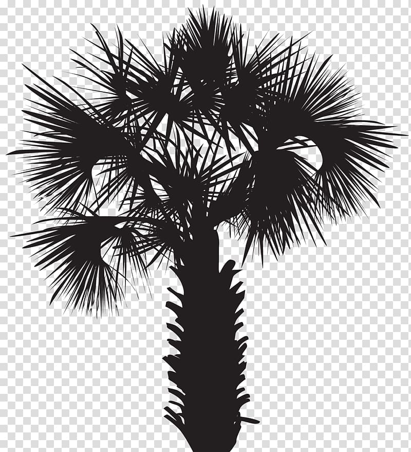 silhouette of palm tree, Arecaceae Silhouette Sunset, Palm Tree Silhouette transparent background PNG clipart