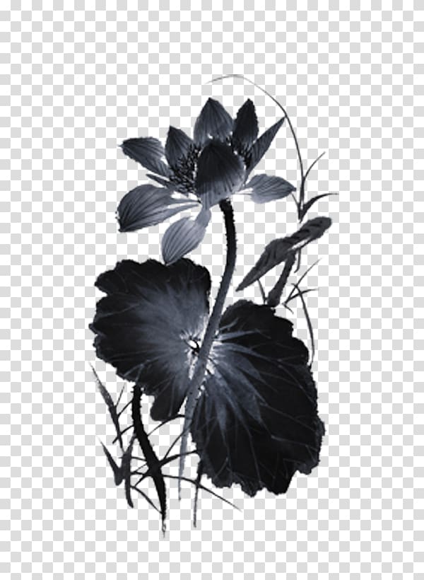 Ink wash painting Nelumbo nucifera, Ink lotus transparent background PNG clipart