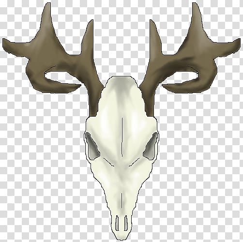 White-tailed deer Reindeer Skull , Drawings Of Deer Skulls transparent background PNG clipart