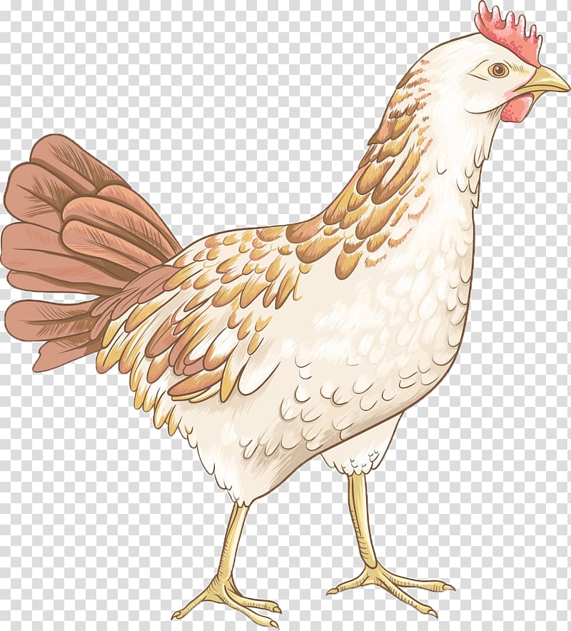 Chicken , Hand-painted chicken transparent background PNG clipart