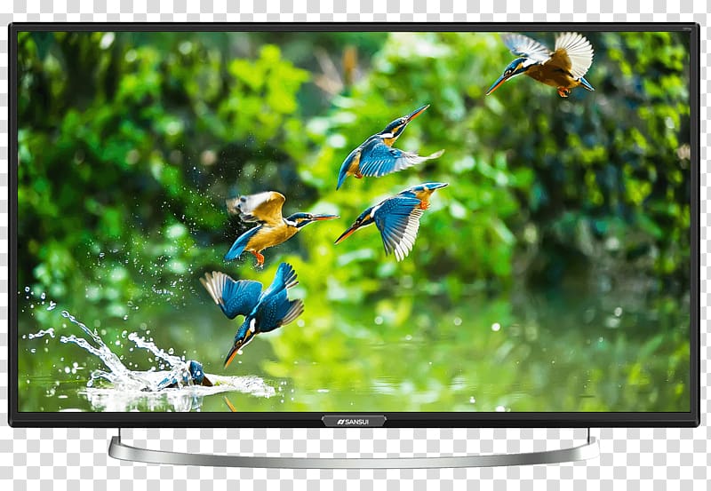 LED-backlit LCD High-definition television Sansui Electric Smart TV, led tv transparent background PNG clipart
