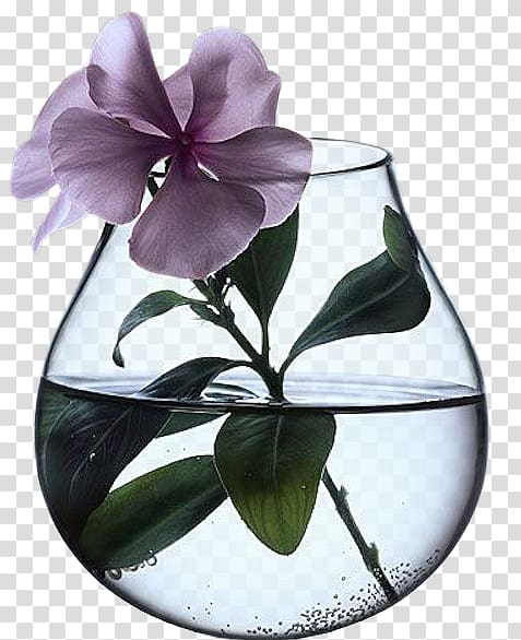 Vase Les vertus des plantes Flower Ceramic Floral design, vase transparent background PNG clipart