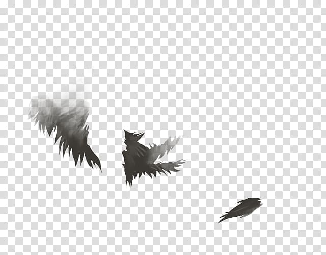 Lion Feather Agility Skill 0, lion transparent background PNG clipart