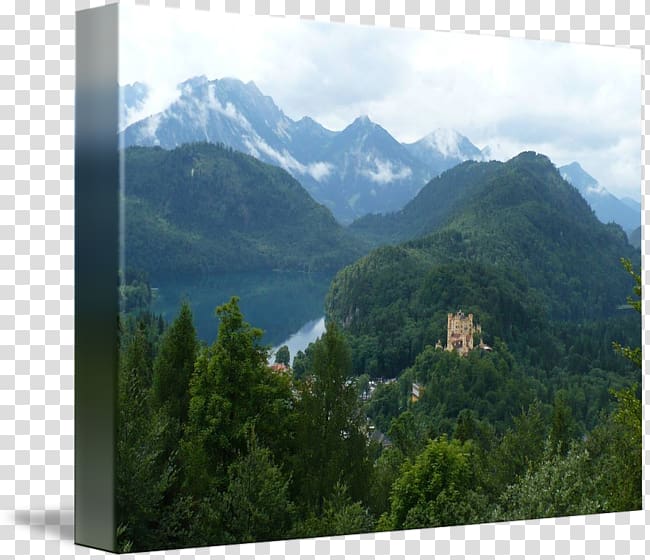 Mount Scenery Neuschwanstein Castle Nature reserve Wilderness, park transparent background PNG clipart