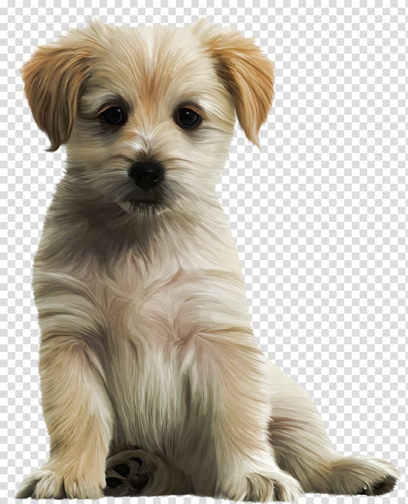 Labrador Retriever Puppy , Cute Puppy , long-coated brown puppy illustration transparent background PNG clipart