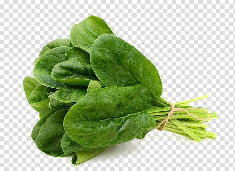 Spinach Leaf vegetable Food , vegetable transparent background PNG clipart