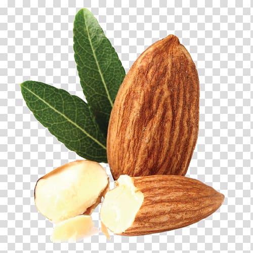 Almond biscuit Almond oil Biscotti, almond transparent background PNG clipart