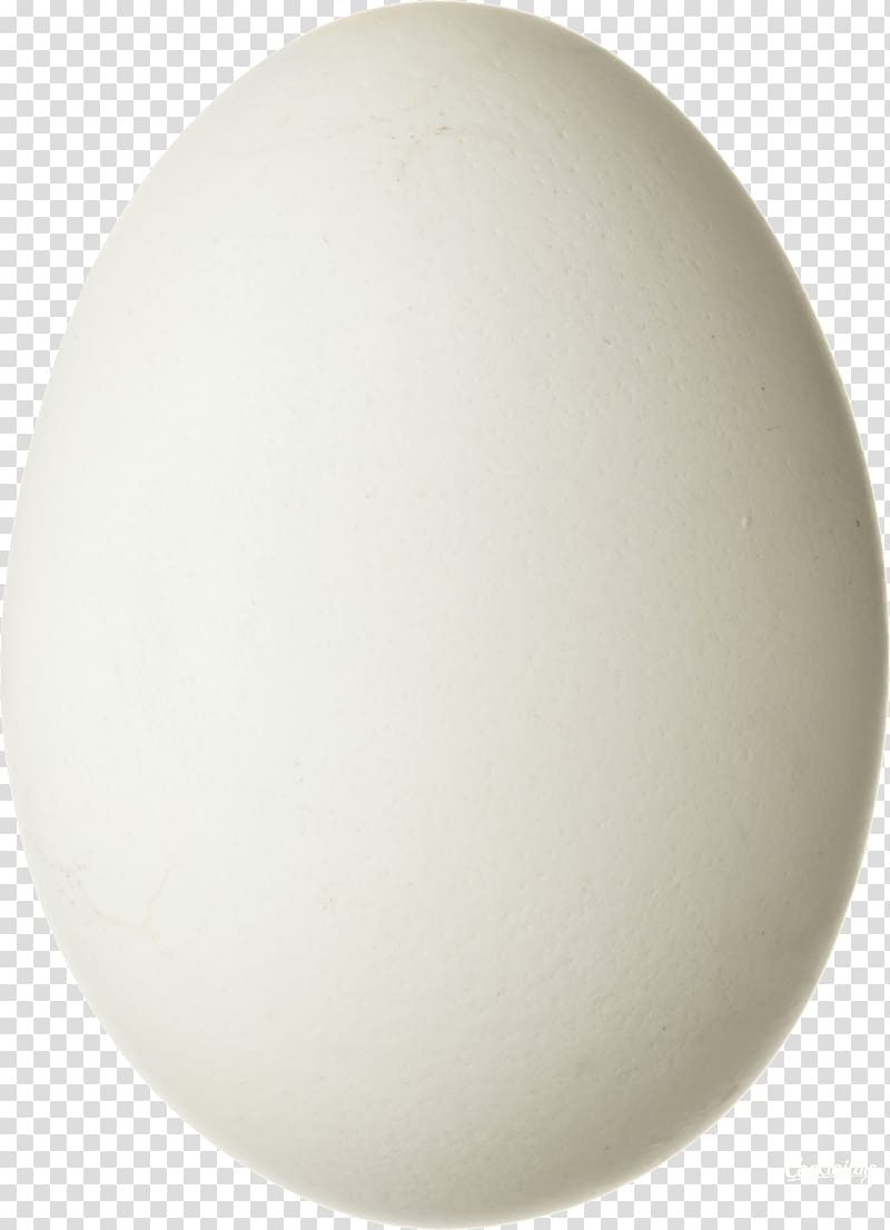 Eggs transparent background PNG clipart