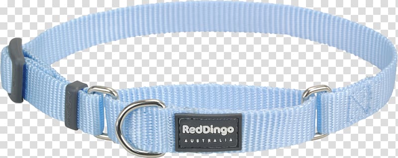 Dog collar Dingo Martingale, Dog transparent background PNG clipart