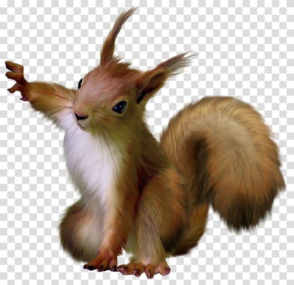 Squirrel , Painted Squirrel , brown squirrel illustration transparent background PNG clipart