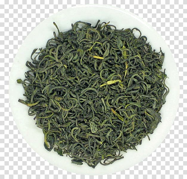 Longjing tea Gyokuro Biluochun Green tea, green tea transparent background PNG clipart