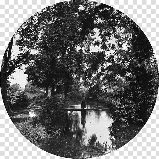 River Thames Marston Meysey Tree Google Slides White, others transparent background PNG clipart