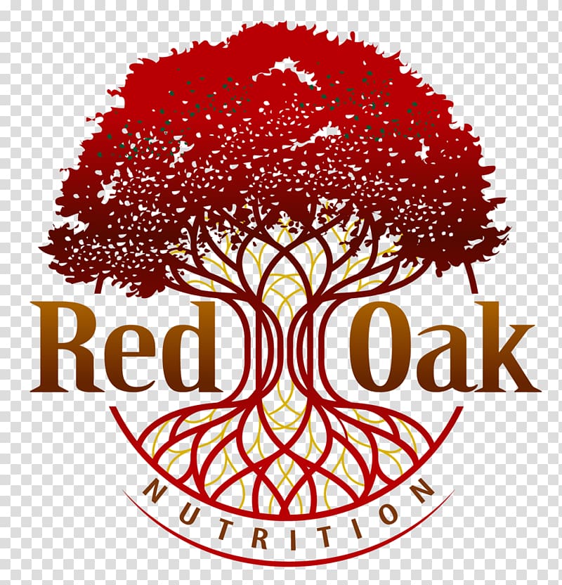 Logo Northern Red Oak Tree Root, tree transparent background PNG clipart