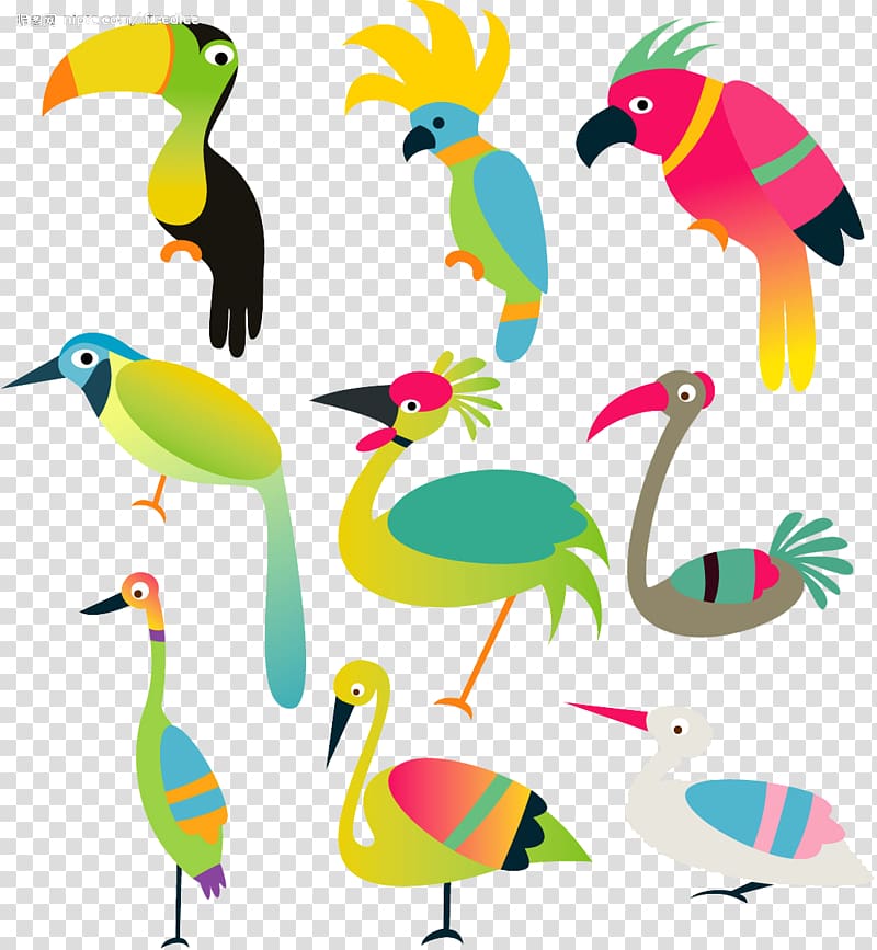 Bird Parrot Budgerigar Illustration, ostrich transparent background PNG clipart