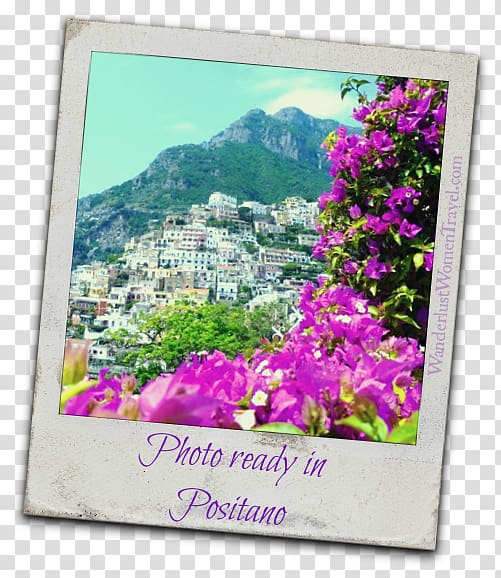 Amalfi Positano Frames Flowering plant Wildflower, girl travel transparent background PNG clipart