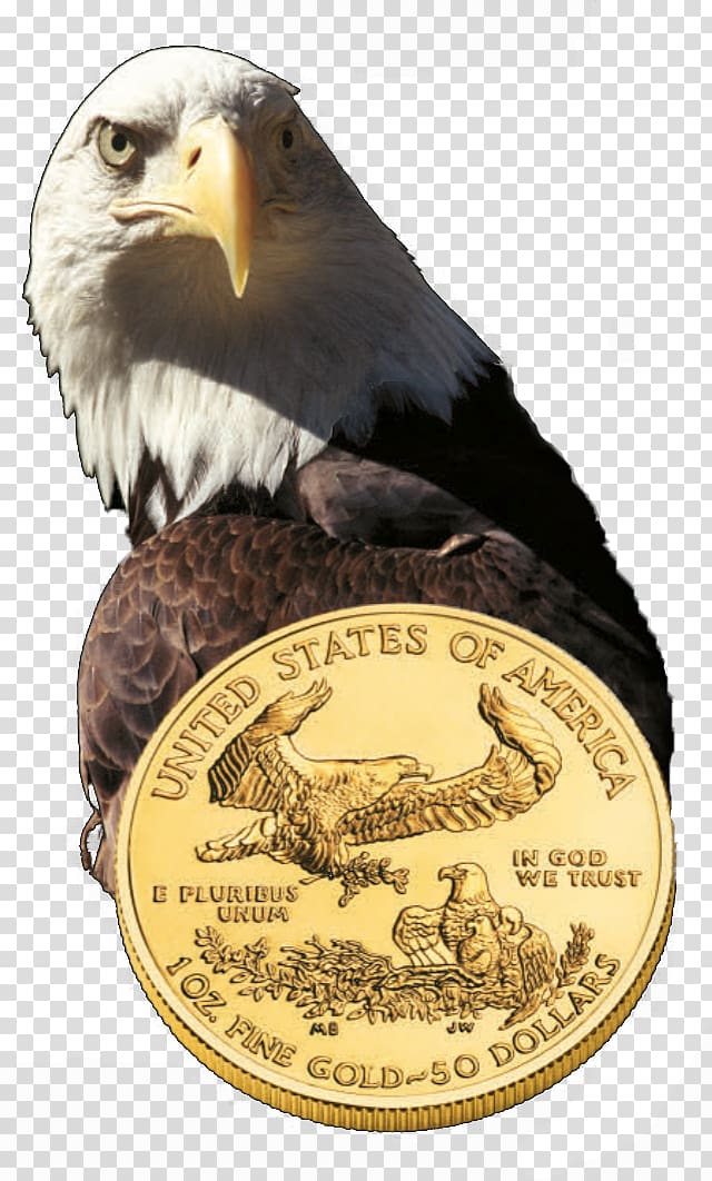Bald Eagle United States Mint Gold coin, gold transparent background PNG clipart
