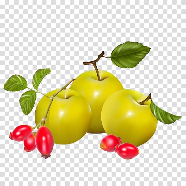 Berry Rose hip Pear Euclidean , Pears and tomatoes transparent background PNG clipart