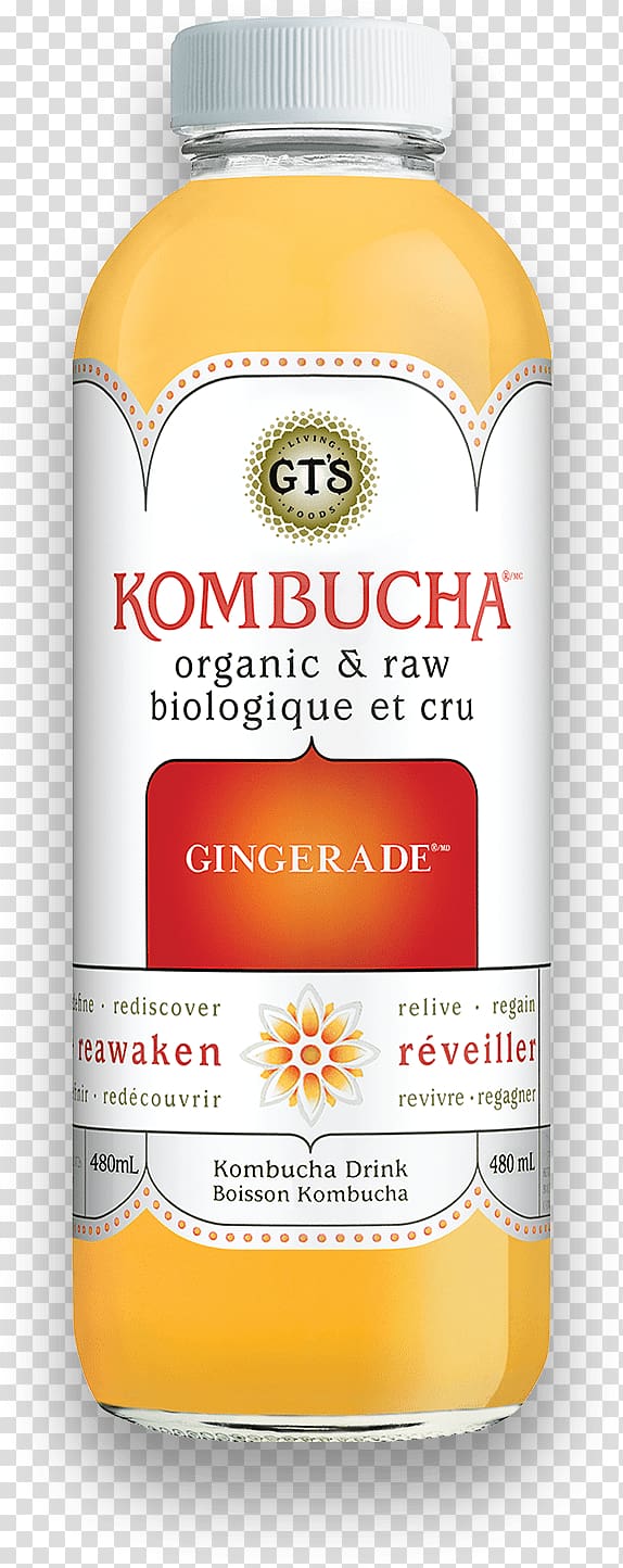 Kombucha Tea Kombucha Tea Masala chai Raw foodism, active living transparent background PNG clipart