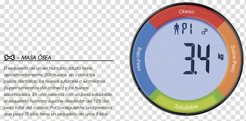 Bone density Mass Weight Human body, bascula transparent background PNG clipart