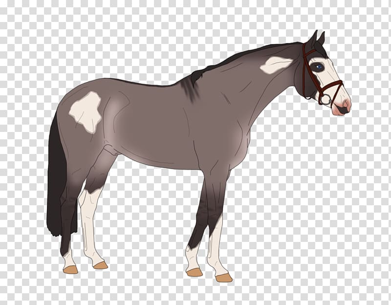 Colt Stallion Mustang Foal Pony, mustang transparent background PNG clipart