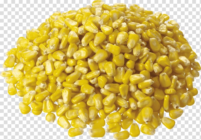 Corn on the cob Maize Corn kernel Sweet corn, others transparent background PNG clipart