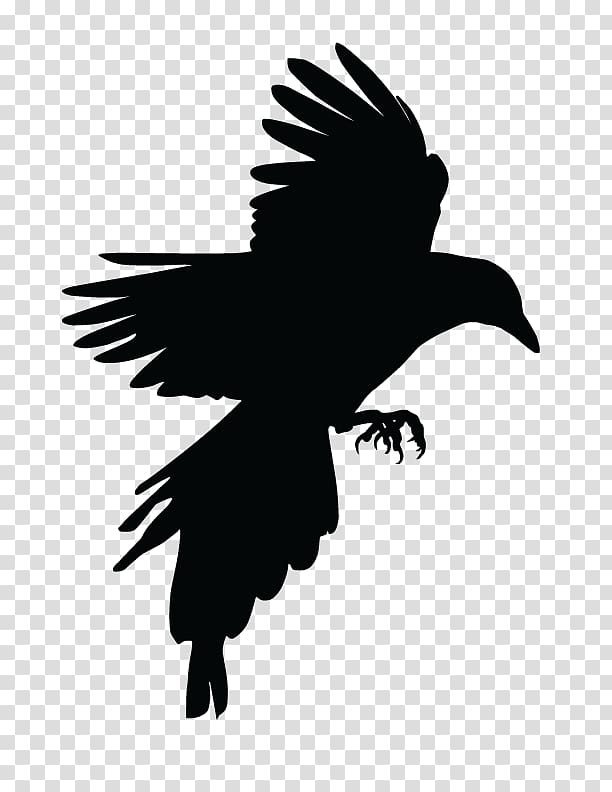 Bird Crow Eurasian Magpie Tattoo, Bird transparent background PNG clipart